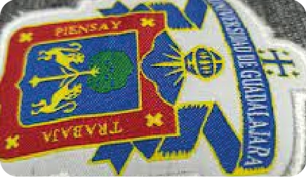 Elementos de seguridad